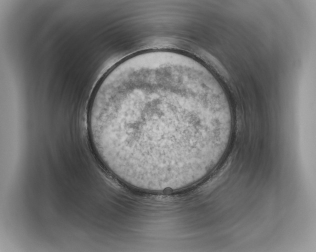 X0000111041226200907231529