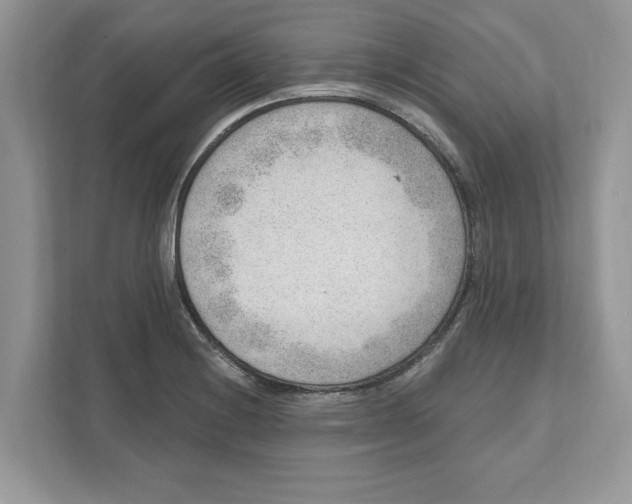 X0000111041228200907231529