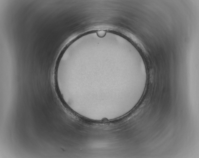 X0000111041229200907231529