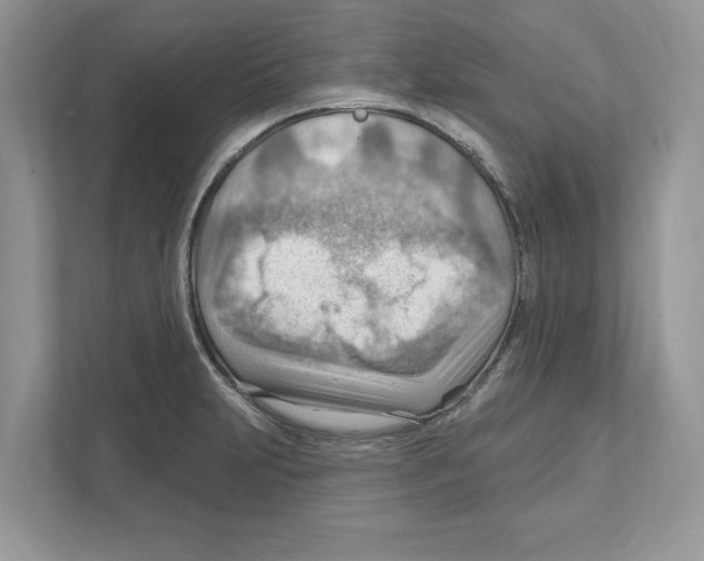 X0000111041231200907231529