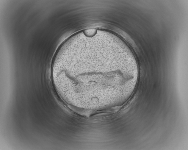 X0000111041234200907231529