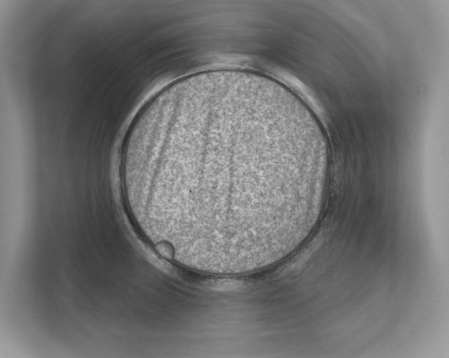 X0000111041235200907231529