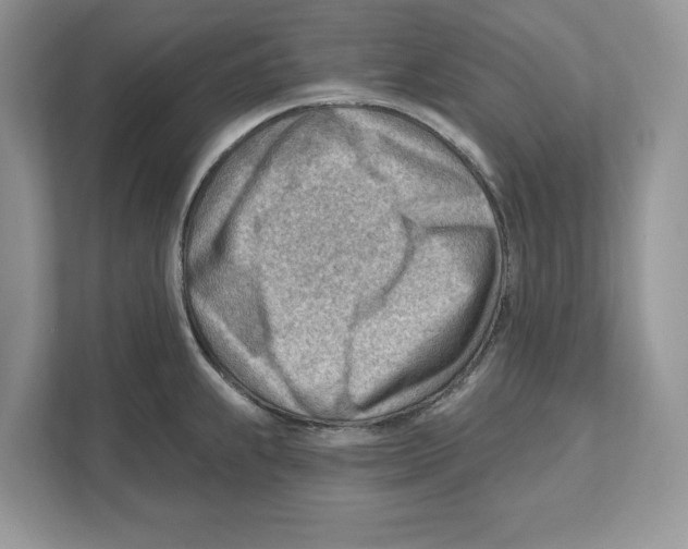 X0000111041239200907231529