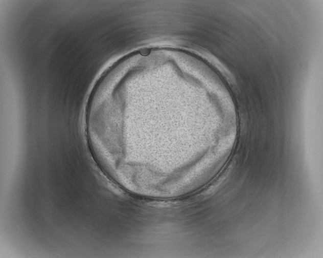 X0000111041240200907231529