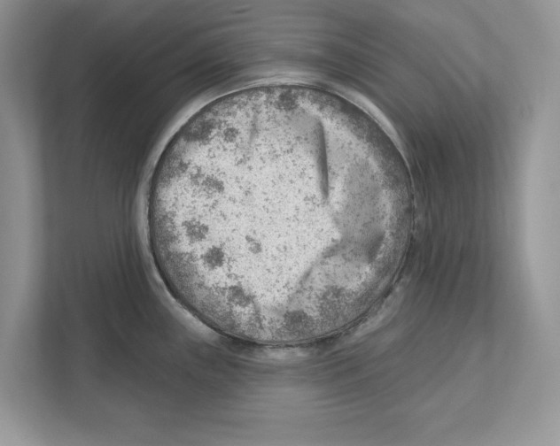 X0000111041243200907231529