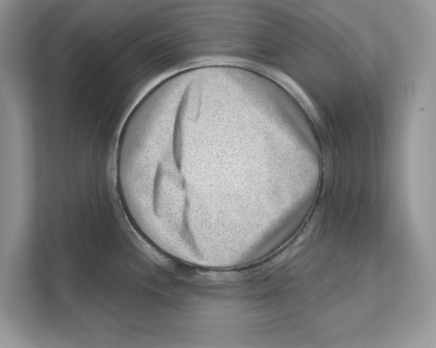 X0000111041244200907231529