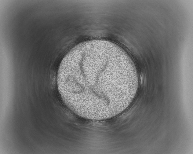 X0000111041251200907231528