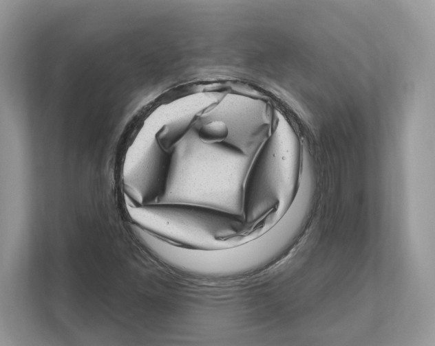 X0000111041261200907231528