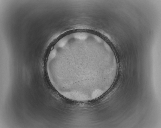 X0000111041263200907231528