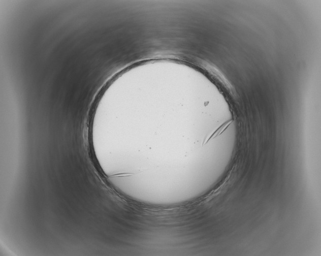 X0000111041268200907231528