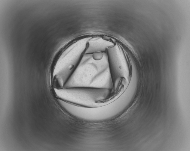 X0000111041269200907231528