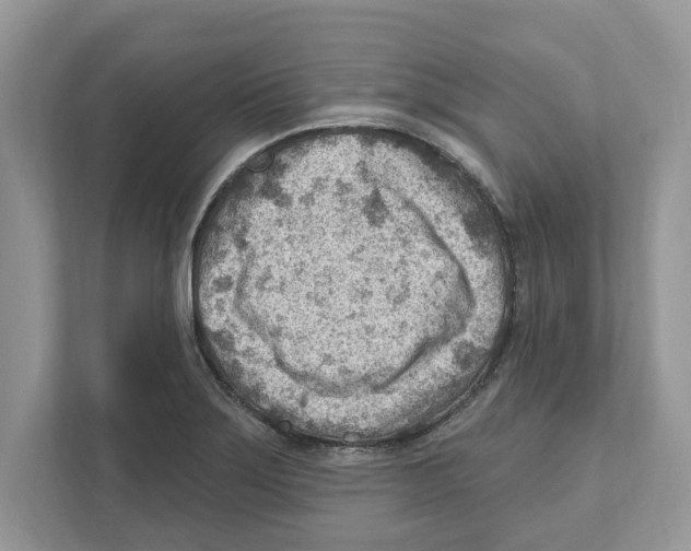 X0000111041275200907231528