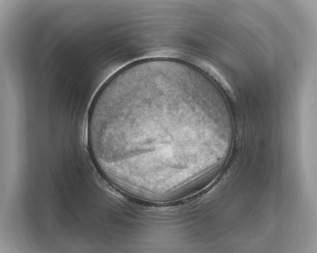 X0000111041276200907231528