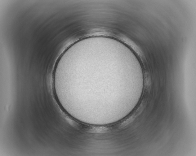 X0000111041282200907231528