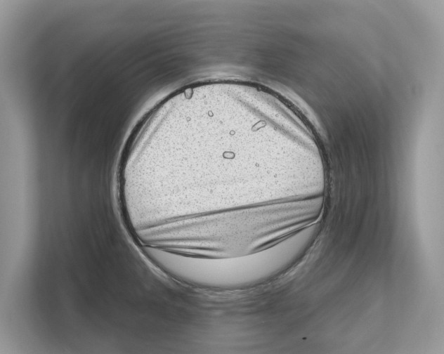 X0000111041285200907231528