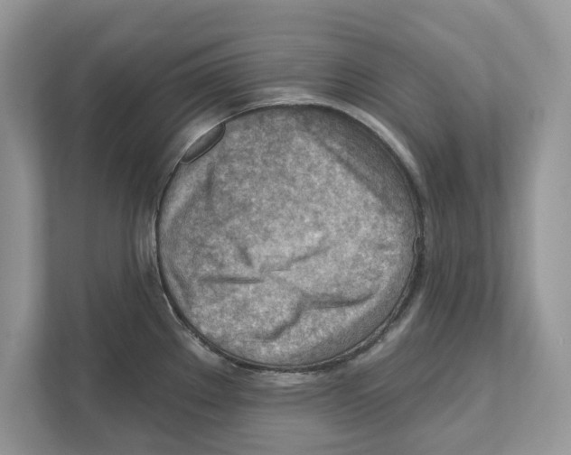 X0000111041289200907231528