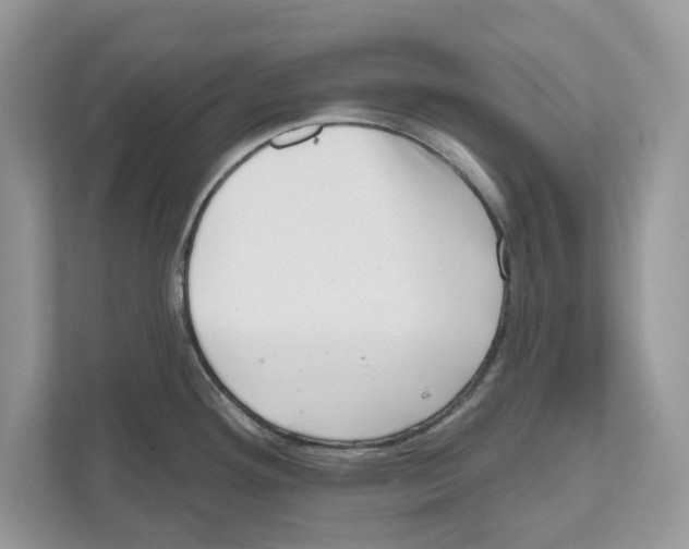 X0000111041292200907231528