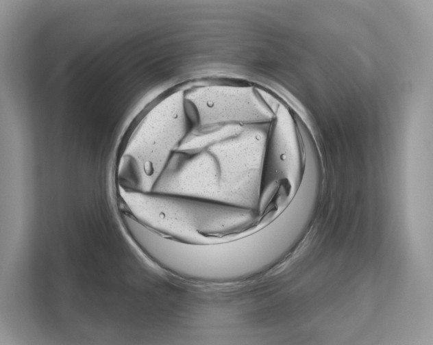 X0000111041293200907231528