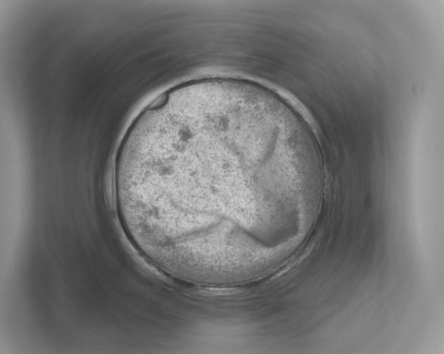 X0000111041295200907231528