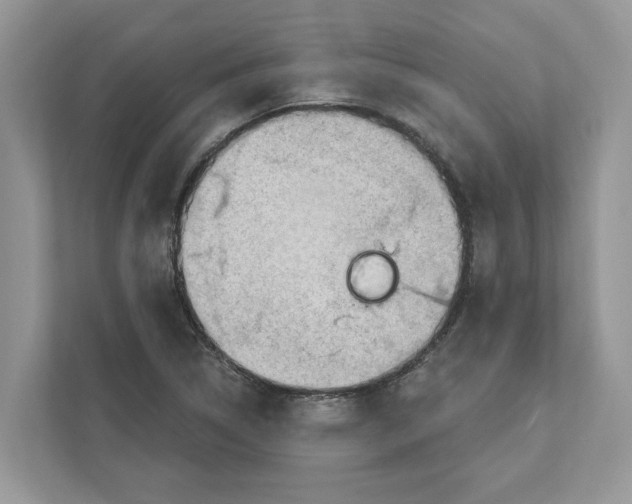 X0000111041314200907231527