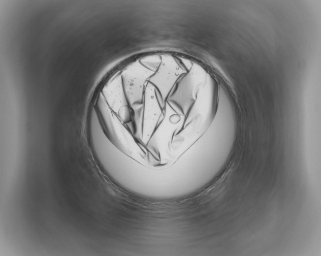 X0000111041320200907231527