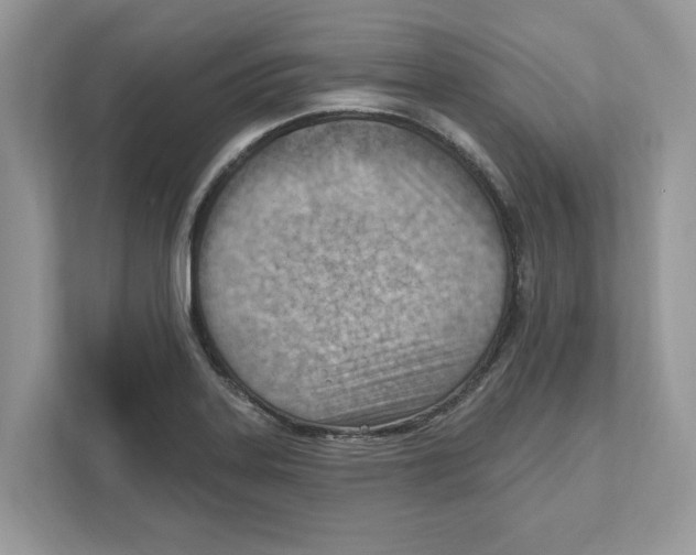 X0000111041323200907231527