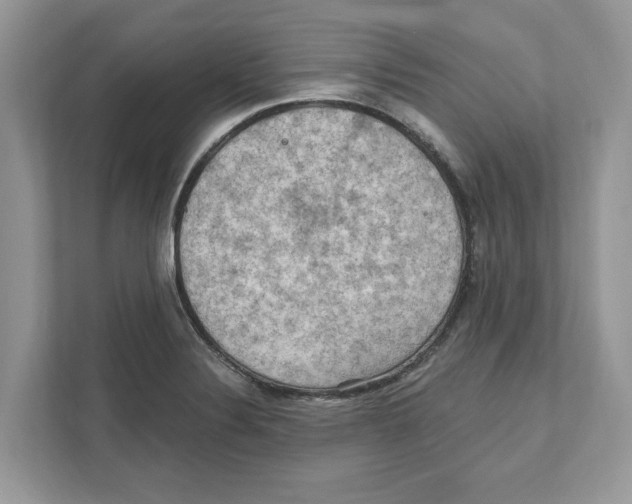 X0000111041324200907231527