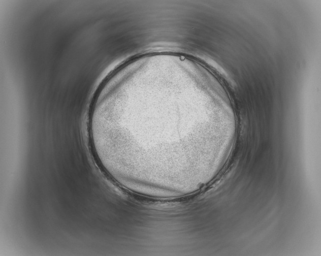 X0000111041325200907231527