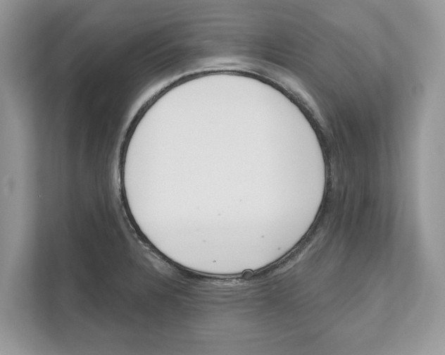 X0000111041328200907231527