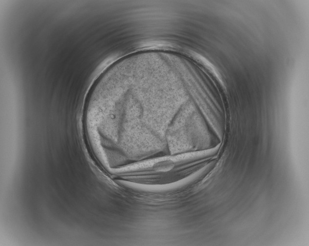 X0000111041330200907231527