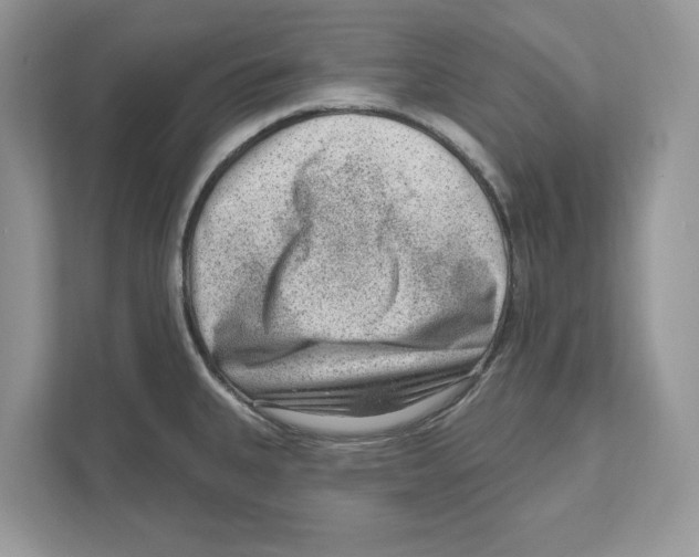 X0000111041335200907231527