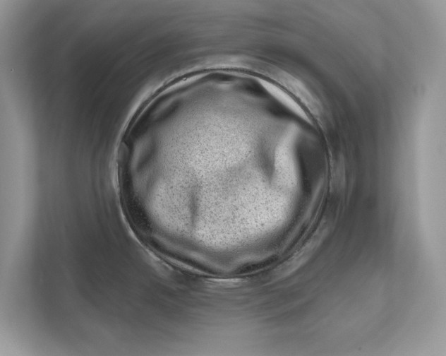 X0000111041342200907231528