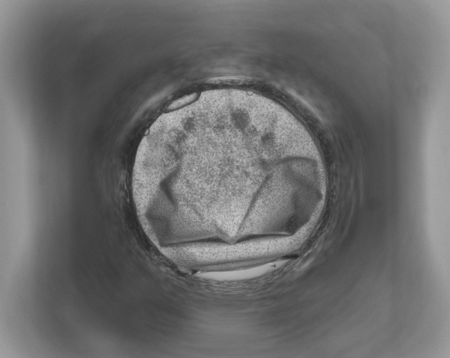 X0000111041351200907231527