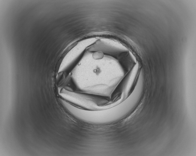 X0000111041361200907231527