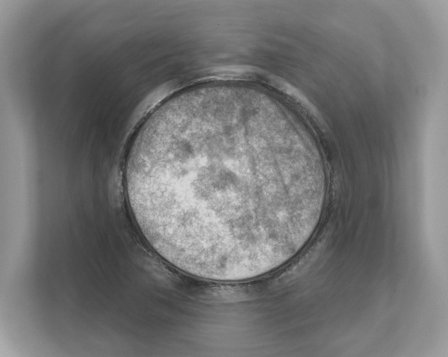 X0000111041362200907231527