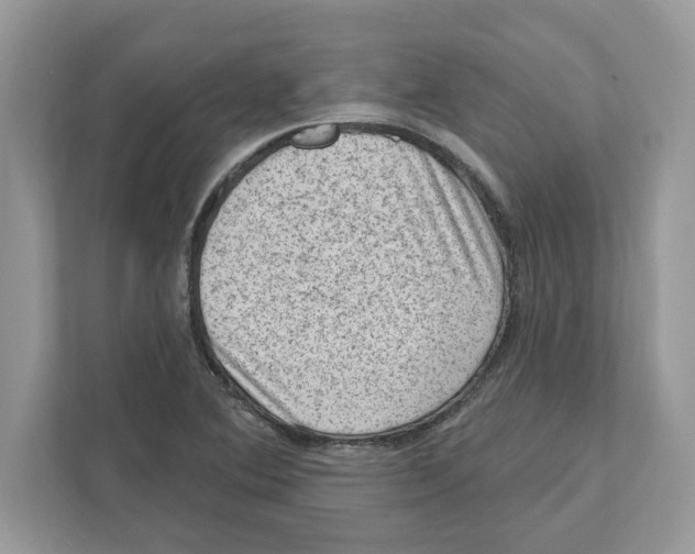 X0000111041364200907231527