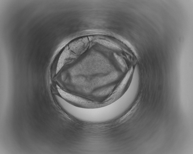 X0000111041365200907231527