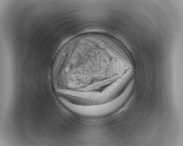 X0000111041369200907231527