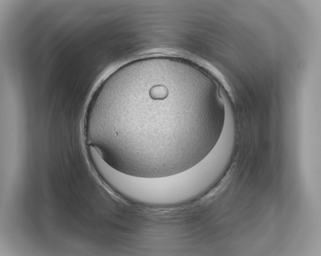 X0000111041373200907231527