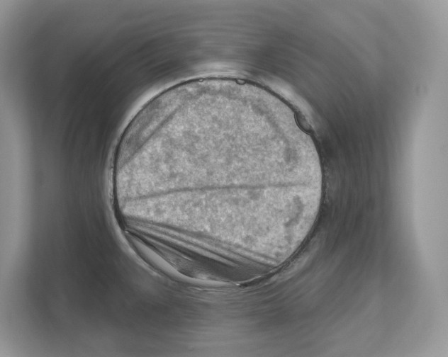 X0000111041383200907231526