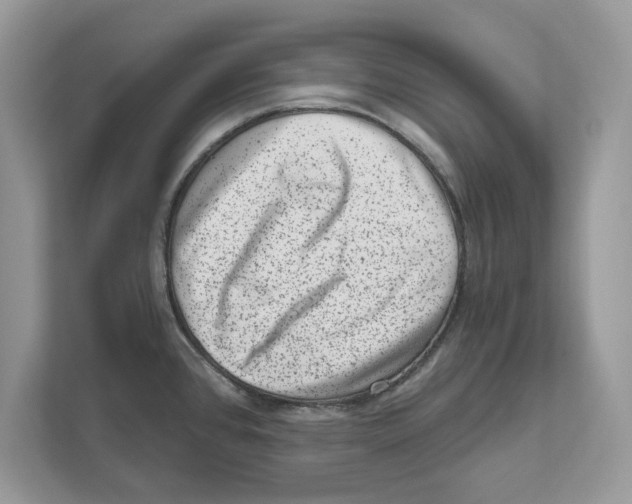 X0000111041384200907231526