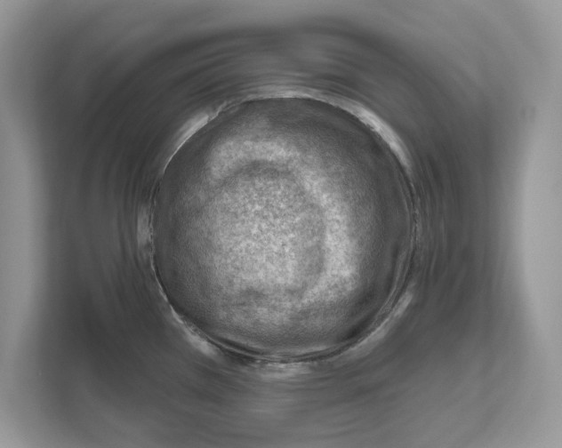 X0000111041385200907231526