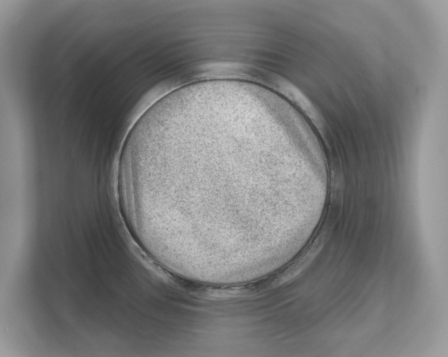 X0000111041386200907231526