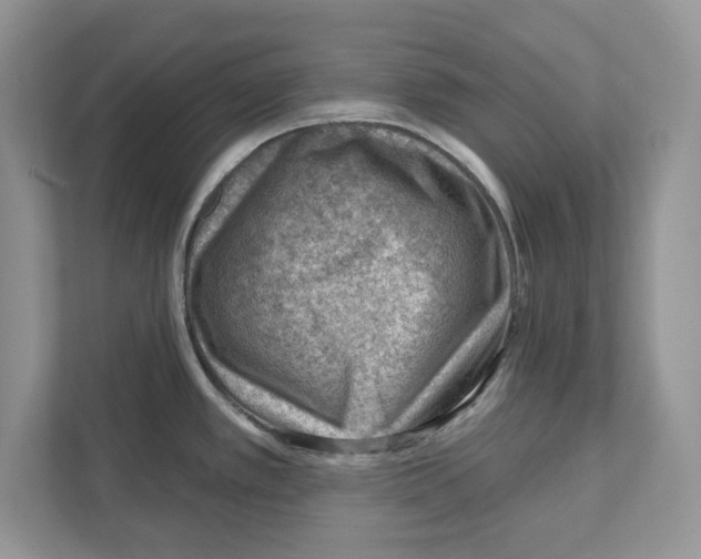 X0000111041389200907231526