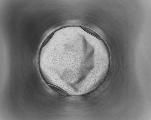 X0000111041392200907231526