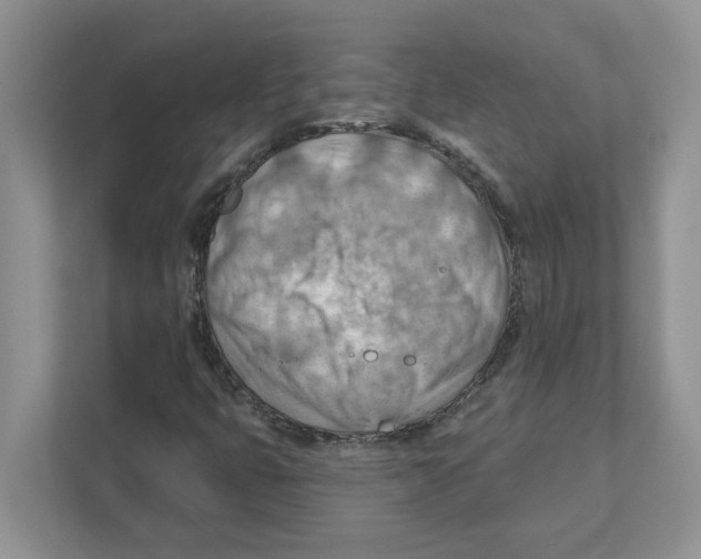 X0000111041399200907231526