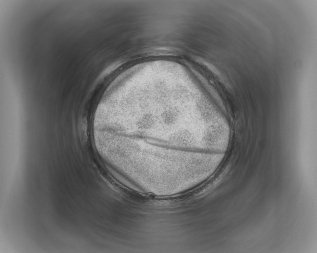 X0000111041402200907231526