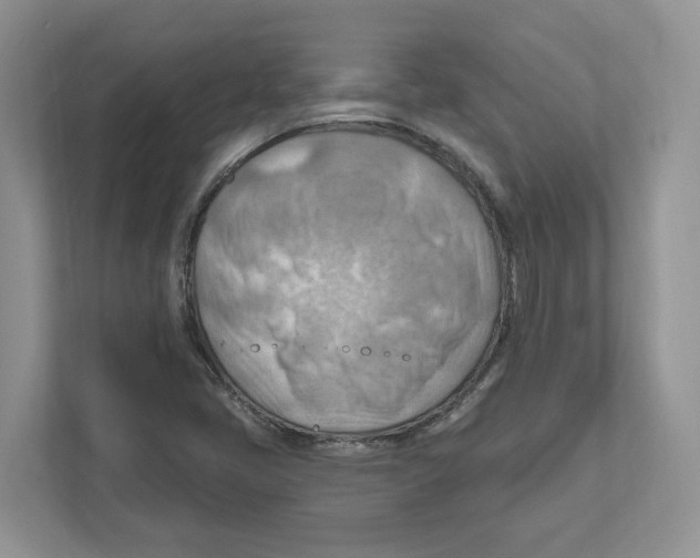 X0000111041405200907231526