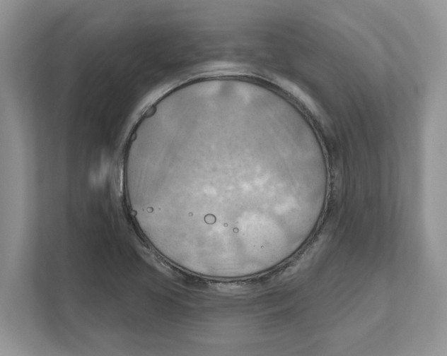 X0000111041413200907231526