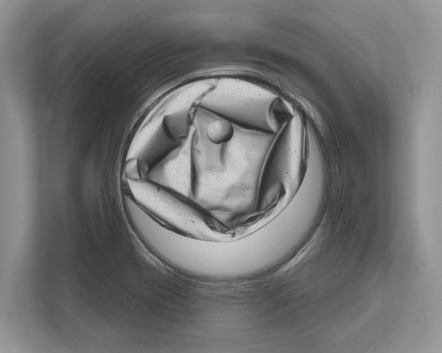 X0000111041417200907231526